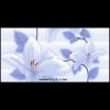 کاشی سرامیک نگارسرام 60*30 لیلیان آبی براق رکتیفاید - تصویر 3