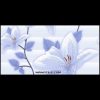 کاشی سرامیک نگارسرام 60*30 لیلیان آبی براق رکتیفاید - تصویر 4
